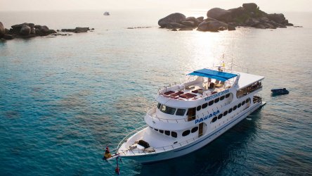 Thailand Liveaboard MV Pawara At The Similan Islands