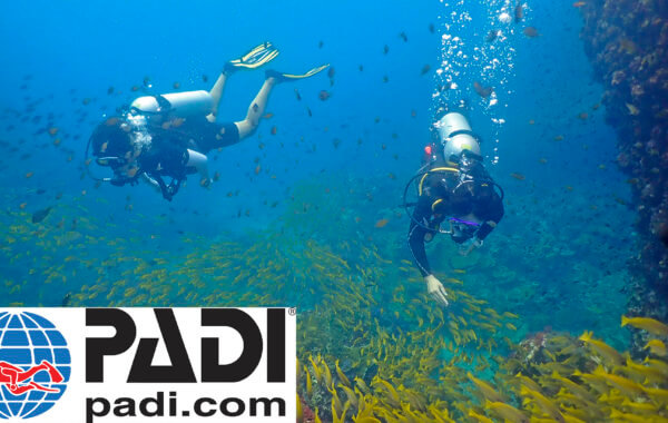 changing from padi to ssi is no problem