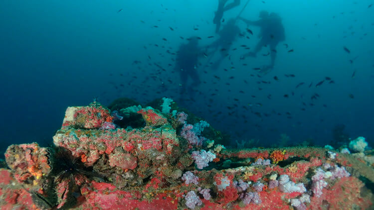 the best scuba diving wreck in phuket the king cruiser