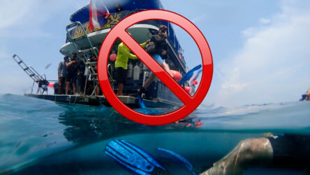 diving directly from liveaboards is now banned in the similan islands