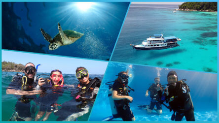 take a padi scuba diving course in phuket with local dive thailand