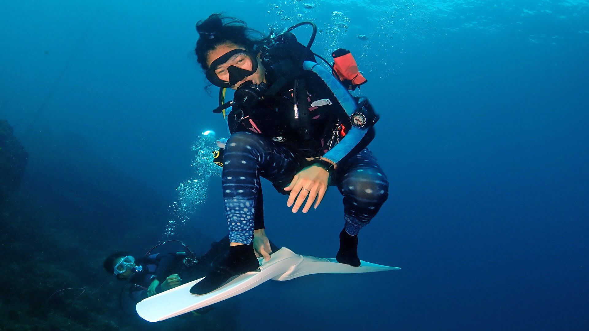 What Is A PADI Master Scuba Diver