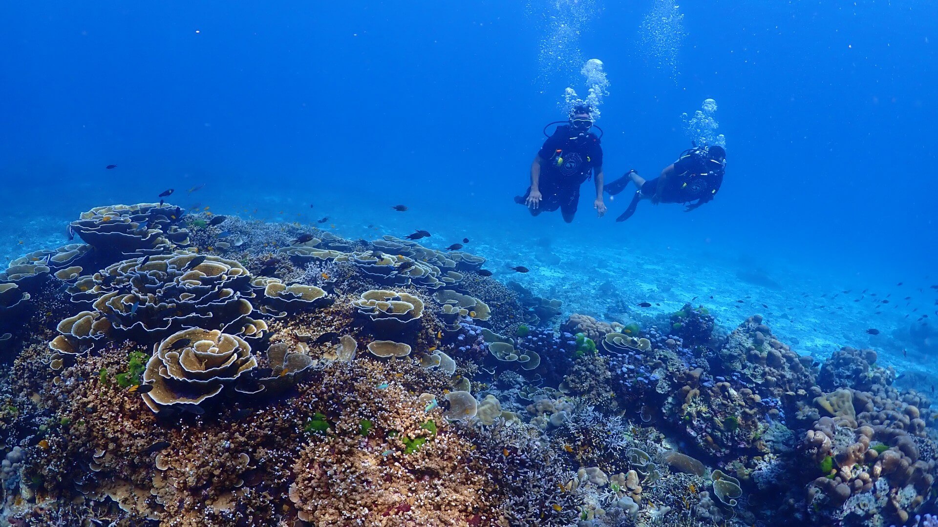 racha noi is the perfect place to start a phuket dive package