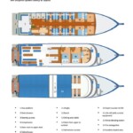 mv dolphin queen deck plan and safety features